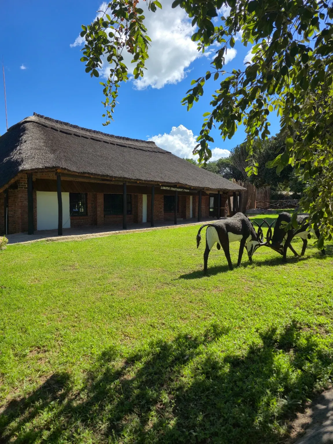 Long thatched lodge beside a green lawn with animal sculptures on the grass