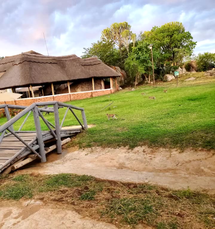 Walk around the grounds: thatched buildings, a boardwalk, an open pavilion and the play area